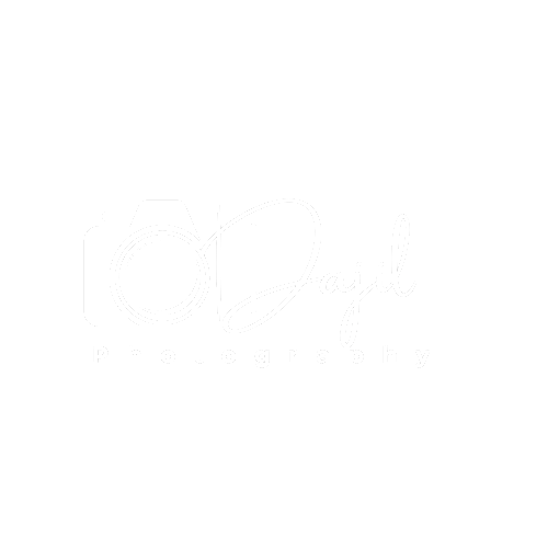 Logo Dajil